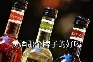 黃酒那個牌子的好喝