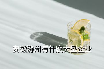 安徽滁州有什麼大型企業(yè)