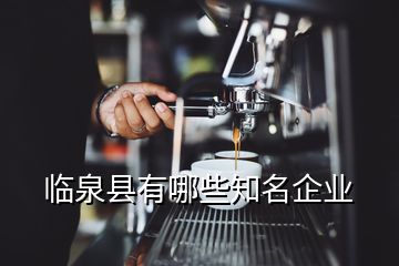 臨泉縣有哪些知名企業(yè)