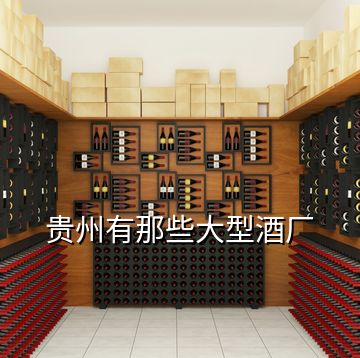 貴州有那些大型酒廠