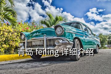 青島 feiling 詳細介紹