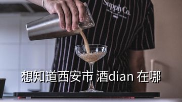 想知道西安市 酒dian 在哪