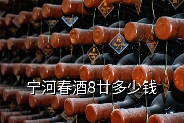 寧河春酒8廿多少錢