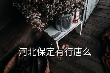 河北保定有行唐么