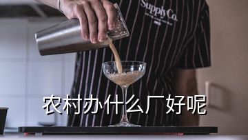 農(nóng)村辦什么廠好呢