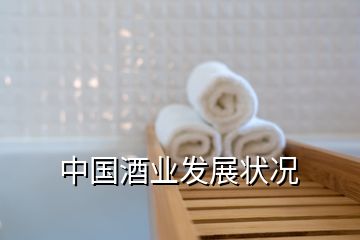 中國酒業(yè)發(fā)展狀況