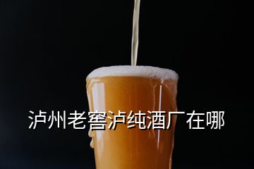 瀘州老窖瀘純酒廠在哪