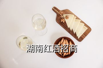 湖南紅酒招商