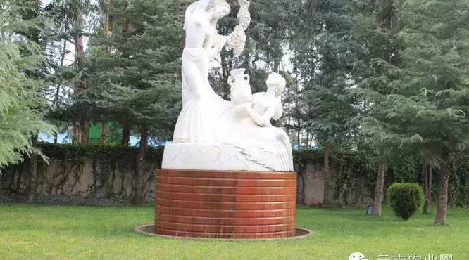 全國(guó)農(nóng)業(yè)旅游示范點(diǎn)—云南紅酒莊園旅游路線(xiàn)介紹