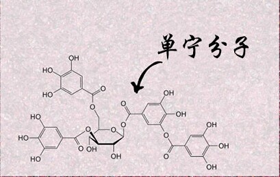 紅酒單寧是什么意思？不同紅酒中的單寧含量是多少？