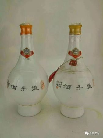 山西堡子酒怎么樣(山西堡子酒怎么樣)