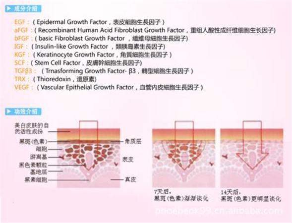 法餐怎么點(diǎn)酒,很多人愛吃浪漫的法餐