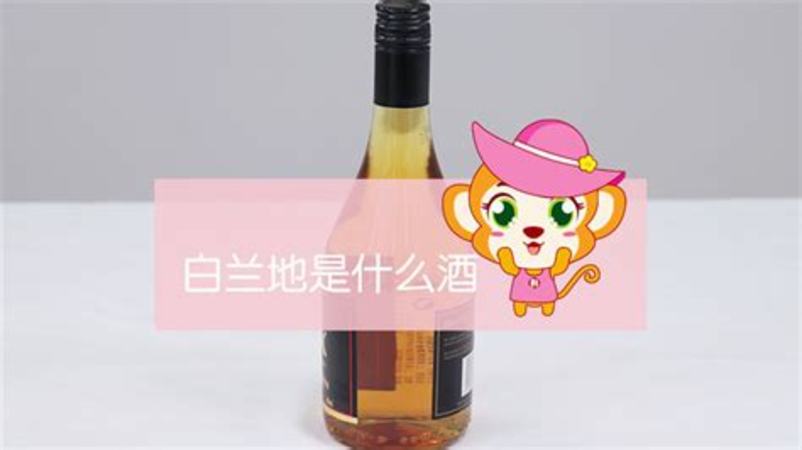 二十塊的白蘭地是什么酒,張裕白蘭地是什么酒