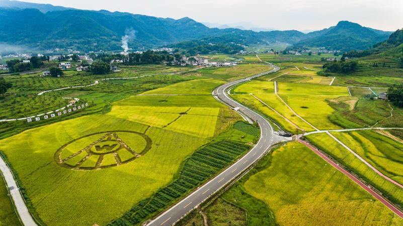 五糧液釀酒糧基地(五糧液釀酒專(zhuān)用糧基地)