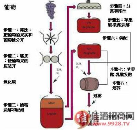 新釀紅酒怎么識別,如何判定純釀酒