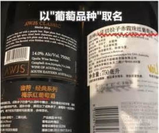 白酒泡什么水果最好喝,玉米酒泡什么水果好喝