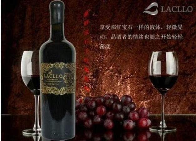 為什么喝不了啤酒,為什么我喝了那么多啤酒