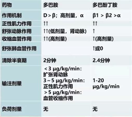 夢(mèng)之藍(lán)m6有多少度的酒,喝過(guò)的有何感受